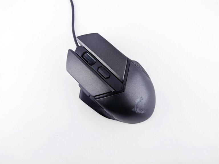 mouse